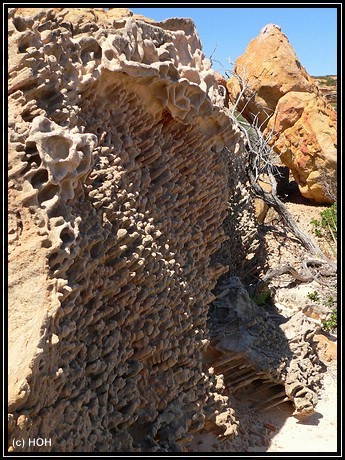 Auf dem Mushroom Rock Trail