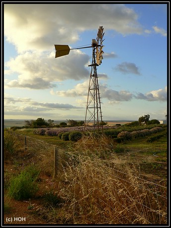 Windrad bei Northampton