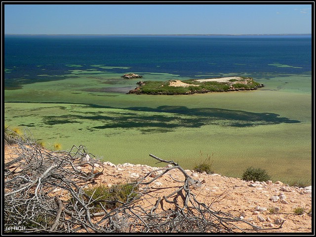 Eagle Bluff ... im Hintergrund die Insel des Useless Loop