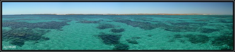 Ningaloo Reef Panorama