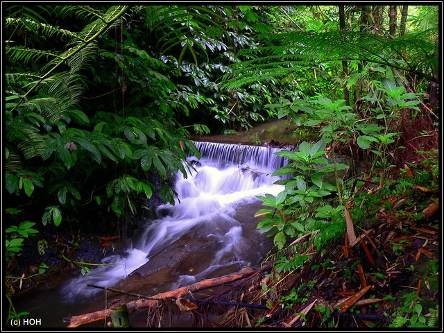 Bach beim Munduk-Wasserfall