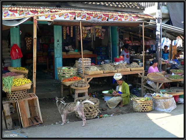 Auf dem Markt