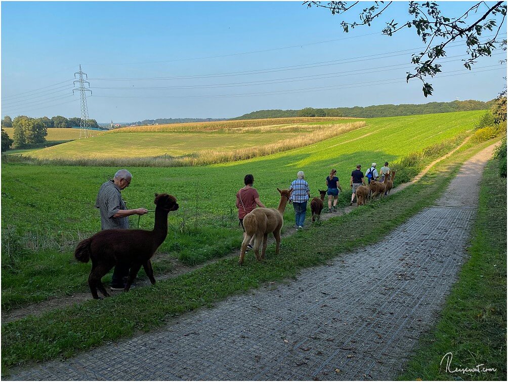 Joa, das Ruhrgebiet ist grüner als manch einer denkt