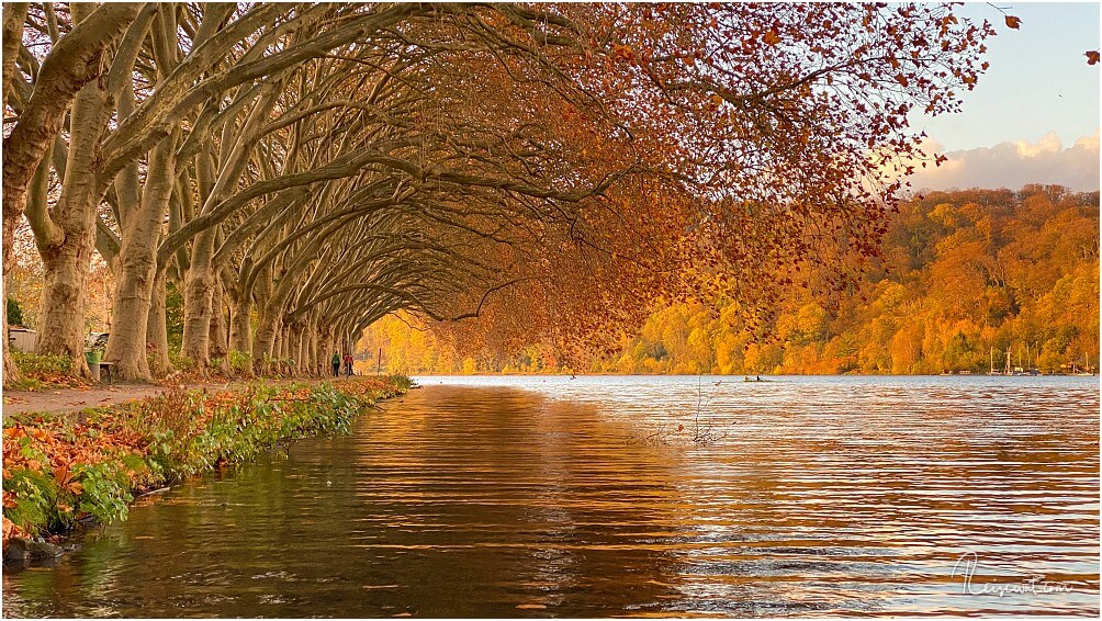 Oktober am Baldeneysee, einer der Instagram-Spots #1 im Pott erstrahlt im goldenen Herbstlaub