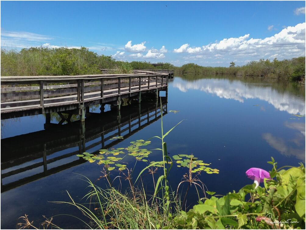 Der Boardwalk, der vom Anhinga Trail einmal als Loop abgeht