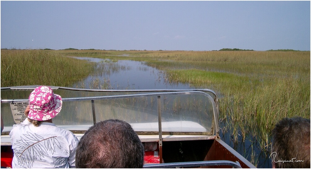 Mit dem Airboat durch die Everglades