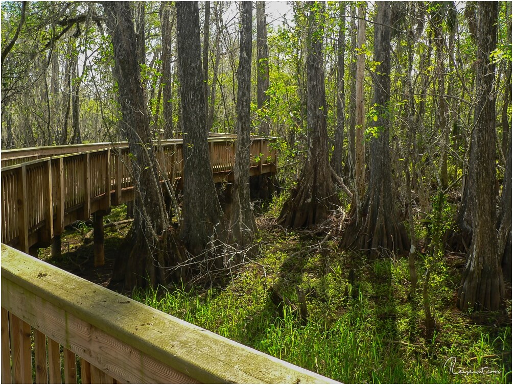 Boardwalk im Kirby Storter Roadside Park