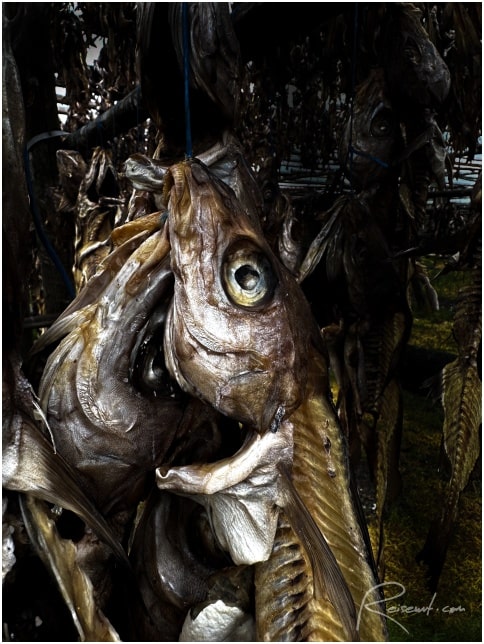 Trockenfisch ist eine isländische Delikatesse