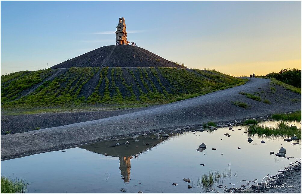 Kleine Tümpel bieten bei der Halde Rheinelbe tolle Möglichkeiten für Fotografen
