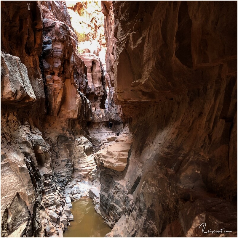Der Khazali Canyon ist an einigen Stellen etwas "tricky" durch den ein oder anderen Pool