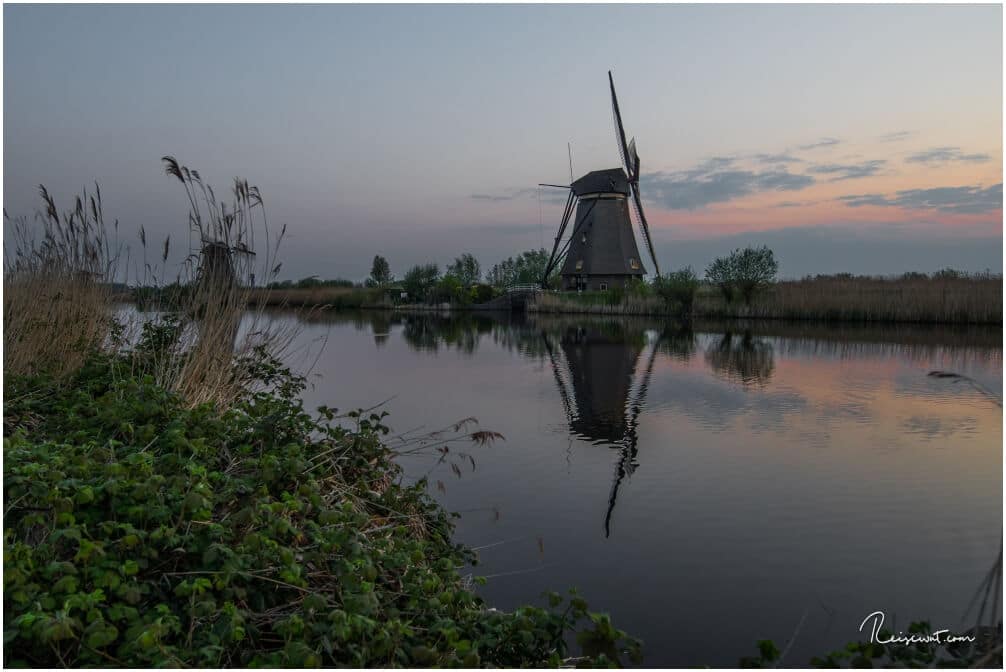 Windmühlen wohin mal blickt, 19 Stück an der Zahl gibt es in Kinderdijk