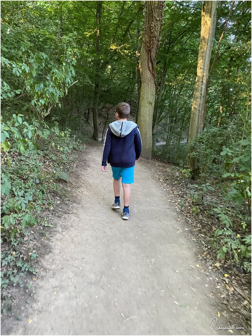 Der Naturtrampelpfad durch den Wald runter zur Brücke