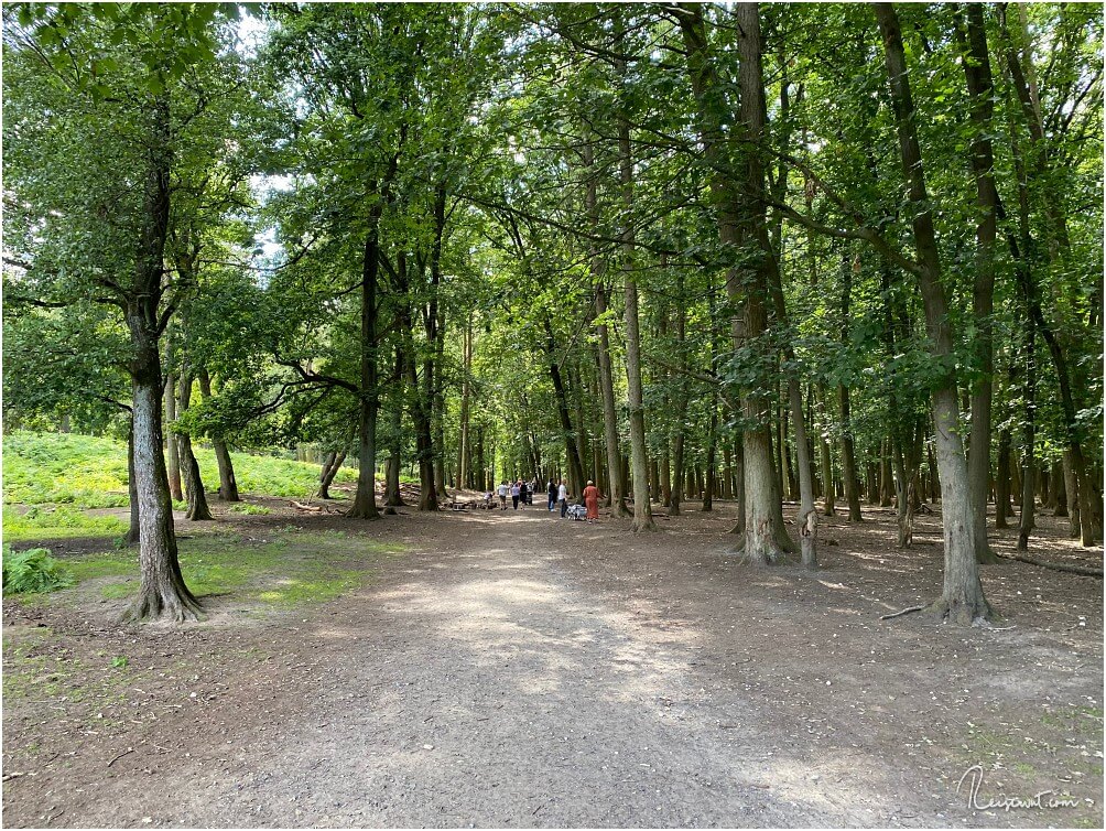 Ungefähr auf der Hälfte des Rundgangs führt der Weg durch ein Waldstück