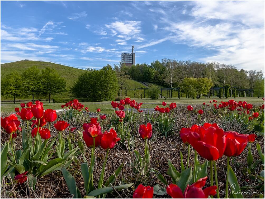 Gerade im Frühling ist die Gartenanlage ein tolles Ziel, da hier sehr viel blüht