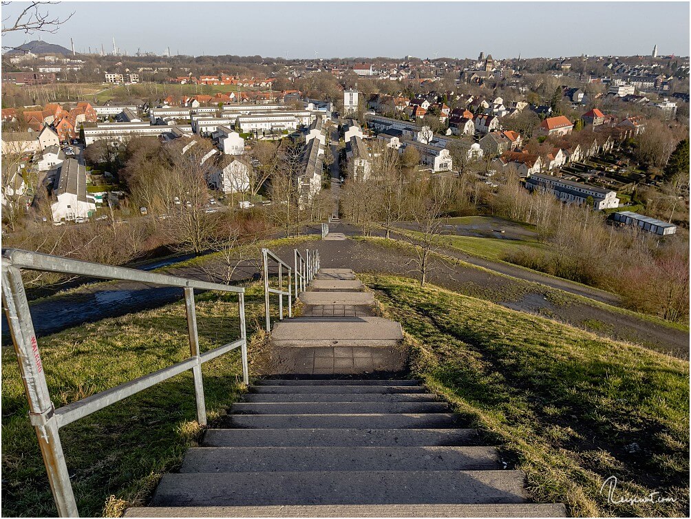 Blick auf die Treppe und die darunter liegende Schüngelbergsiedlung