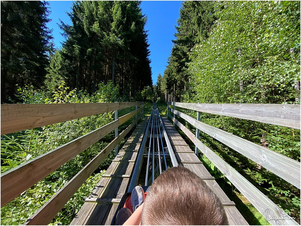 Fahrt mit der Sternrodler Sommerrodelbahn beim Erlebnisberg Sternrodt