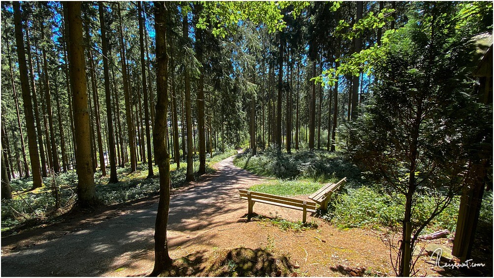 Wanderweg quer durch den Wald am Biggesee