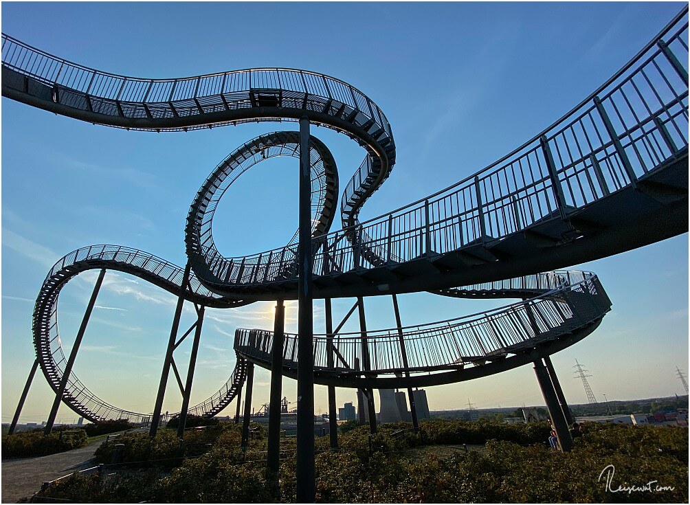 Geschwungene Formen zeichnen Tiger & Turtle aus