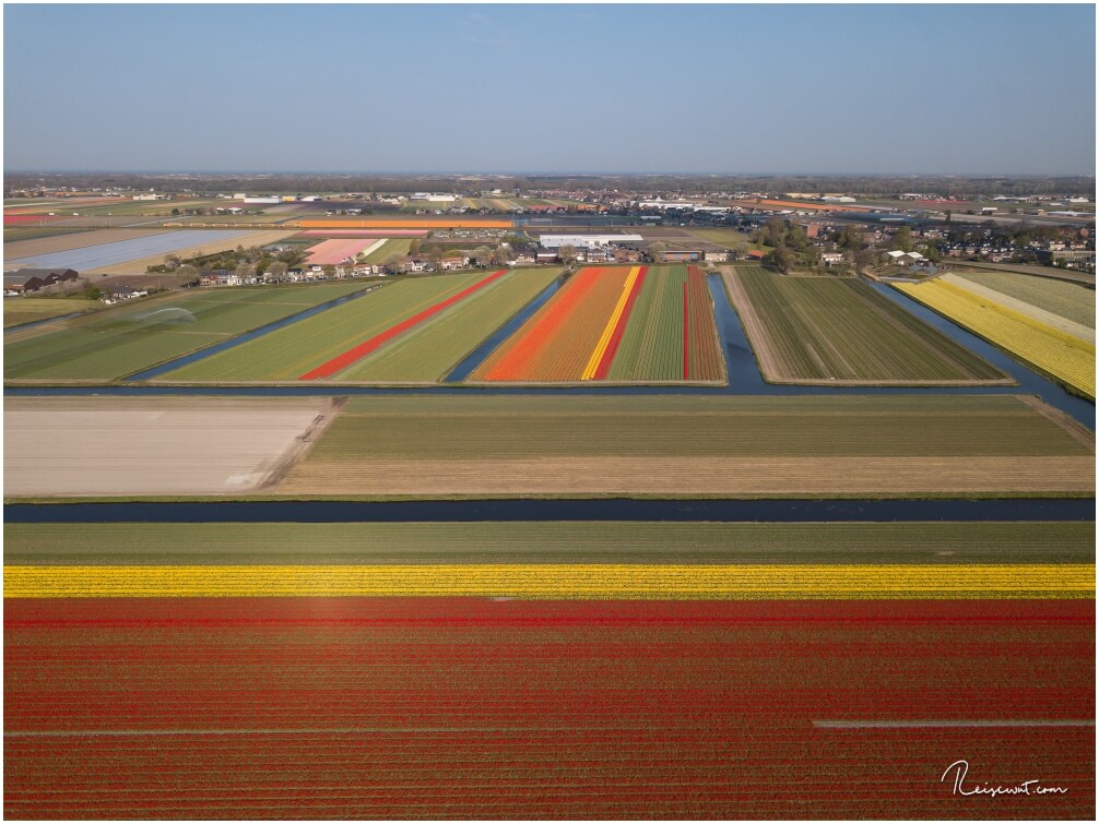 Tulpenfelder in der Nähe vom Keukenhof aus der Luft