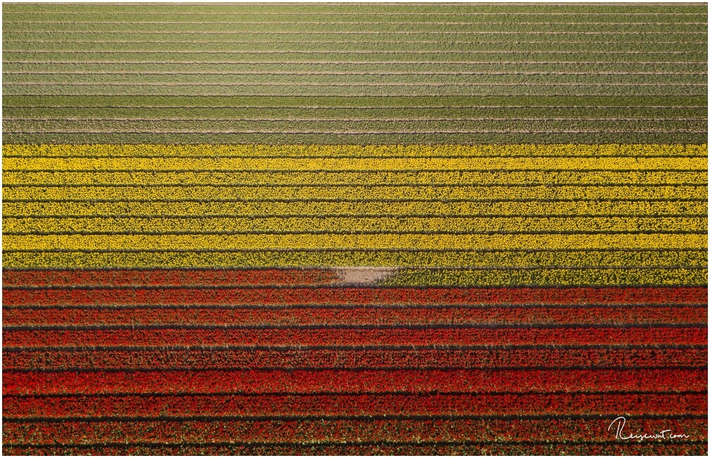 Nein, das ist kein Teppich, so schaut das aus wenn man senkrecht nach unten fotografiert