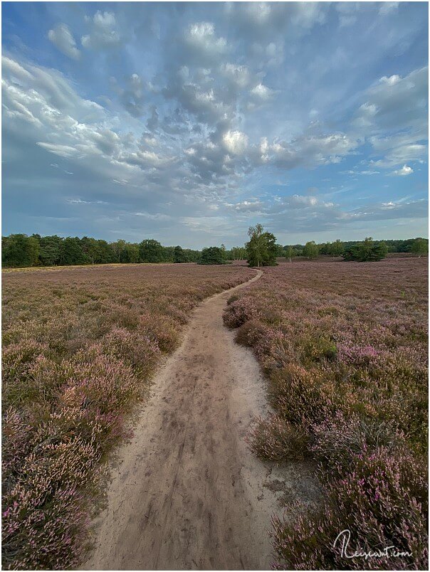 Die sandigen, naturbelassenen Wanderwege durch die Westruper Heide sind ein Traum
