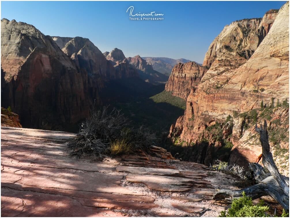 Der Zion Canyon in seiner ganzen Pracht