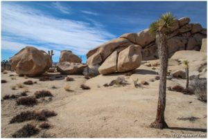 Joshua Tree National Park