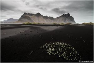 Stokksnes