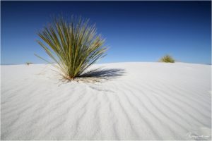 White Sands National Monument