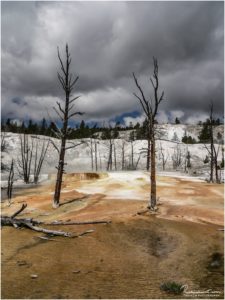 Yellowstone National Park