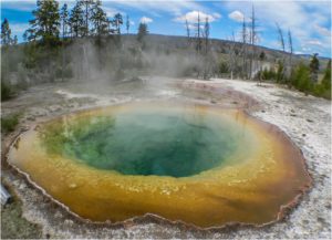 Morning Glory Pool (Yellowstone)