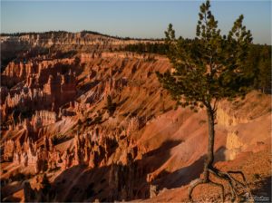 Bryce Canyon
