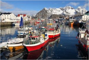 Henningsvaer Hafen