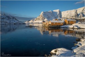 Sakrisøy