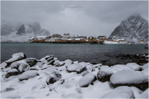 Sakrisøy