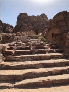 Stufen am Indiana Jones Trail