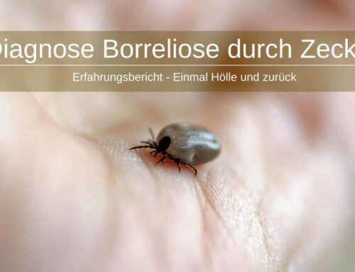 Diagnose Borreliose durch Zecke ★ Einmal Hölle und zurück