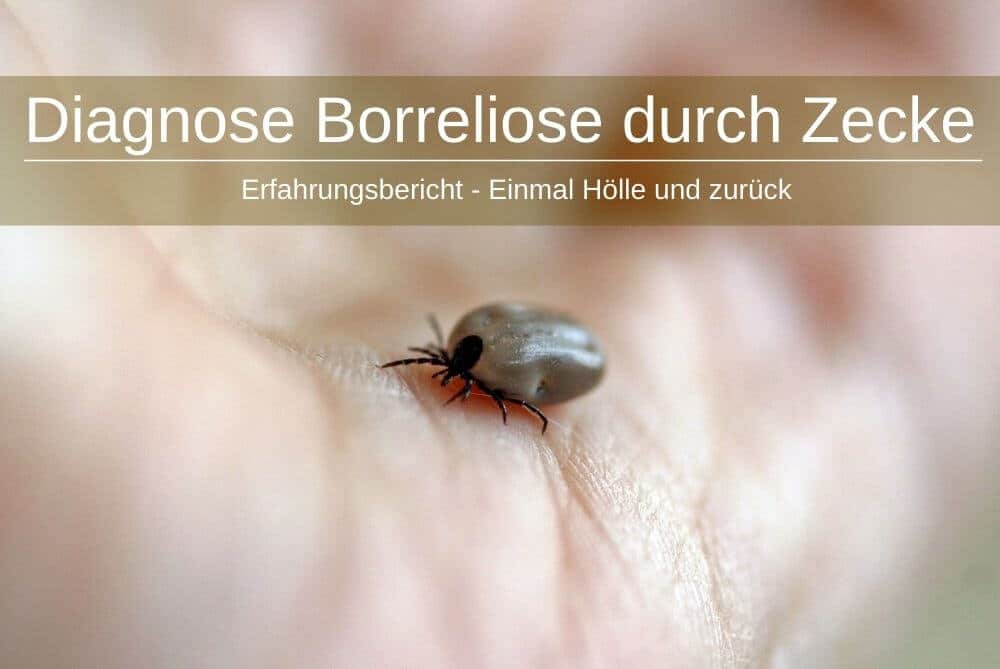 Diagnose Borreliose Zecke Symptome