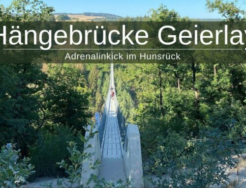 Hängebrücke Geierlay » 360m Adrenalinkick im Hunsrück