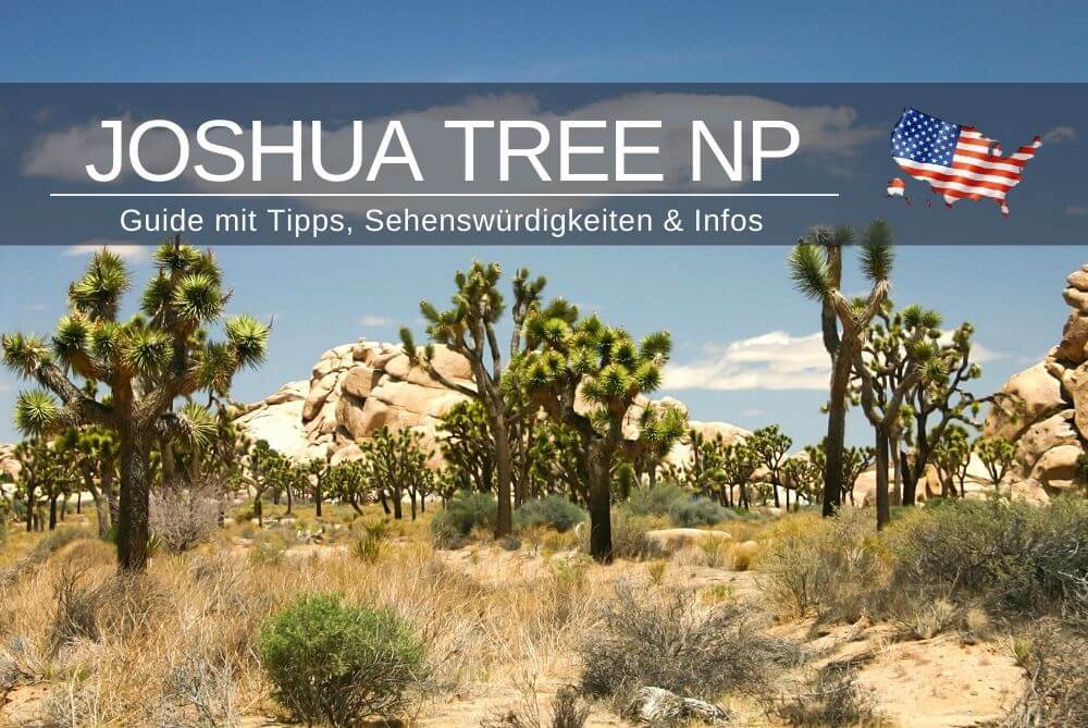Joshua Tree National Park Guide Tipps