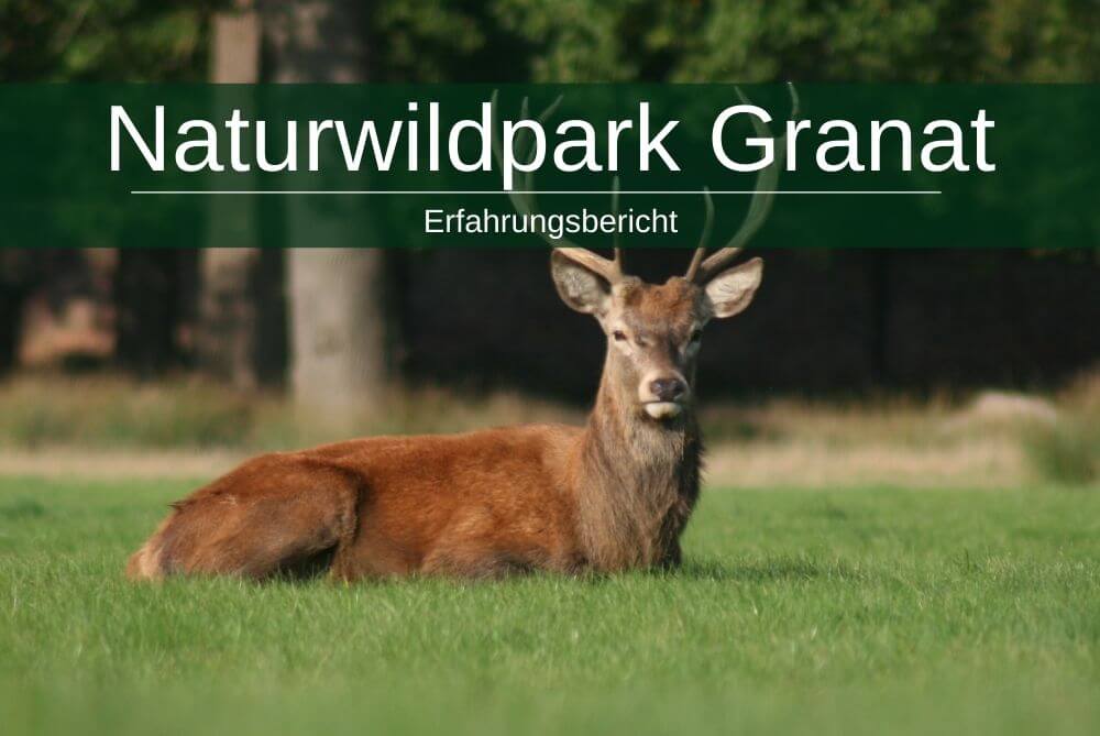 Naturwildpark Granat