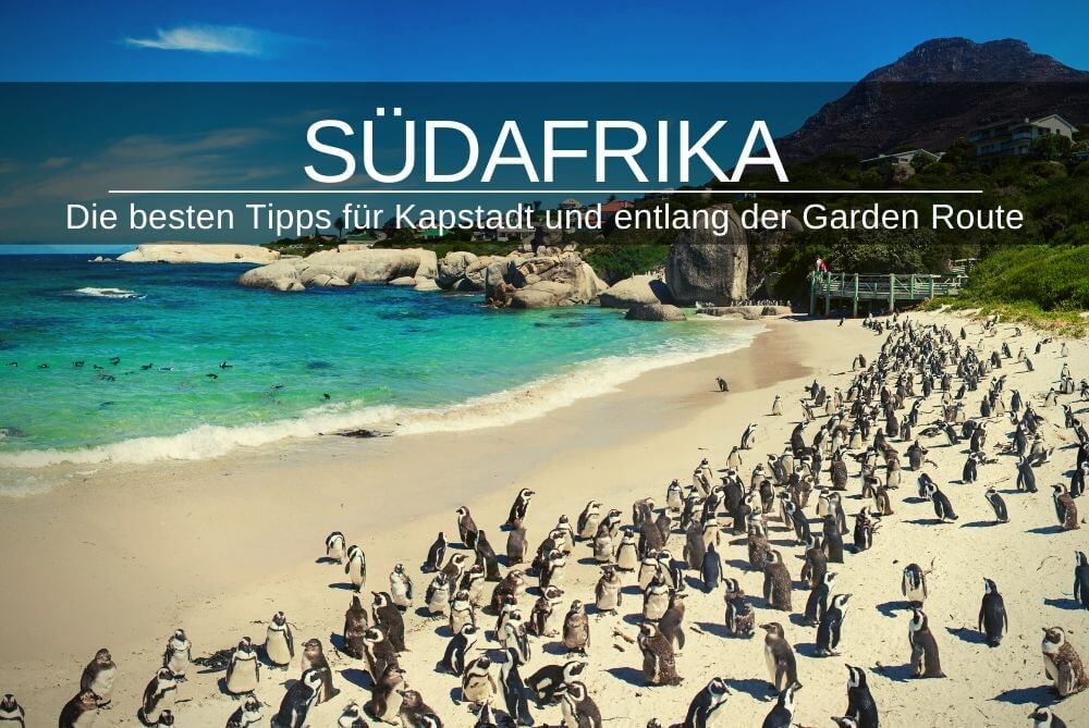 Gastbeitrag Suedafrika Tipps fuer Kapstadt
