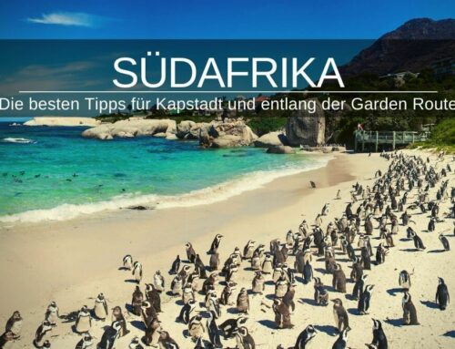 Die besten Tipps für Kapstadt und entlang der Garden Route