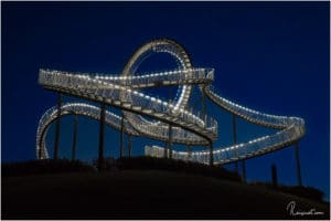 Tiger & Turtle