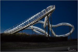 Tiger & Turtle