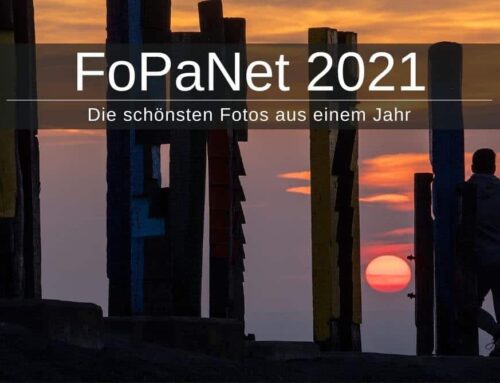 Die schönsten Fotos aus einem Jahr » FoPaNet 2021