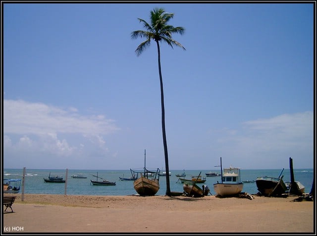 Kleiner Hafen in Praia do Forte Kleiner Hafen in Praia do Forte