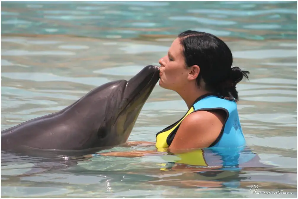 Dolphin's Kiss, auch das darf hier natürlich nicht fehlen