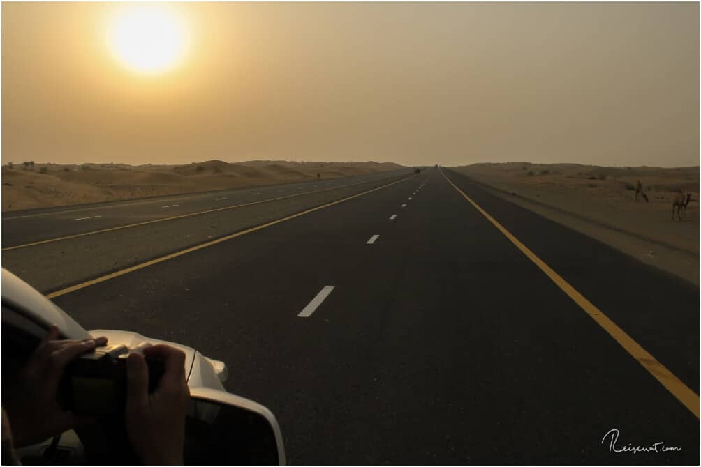 Road to Dubai