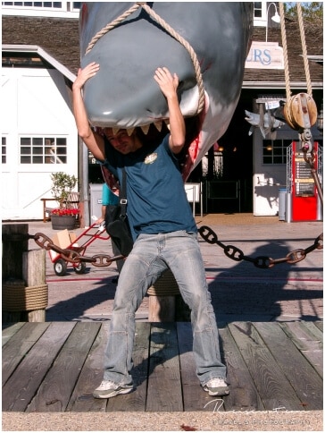 Universal Studios ... Jaws. Ups, er hat mich erwischt